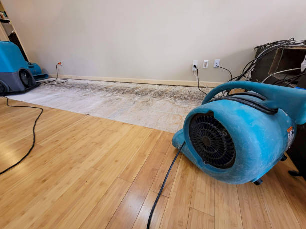 Professional Ceiling Water Damage Repair technician working in Empire, OH